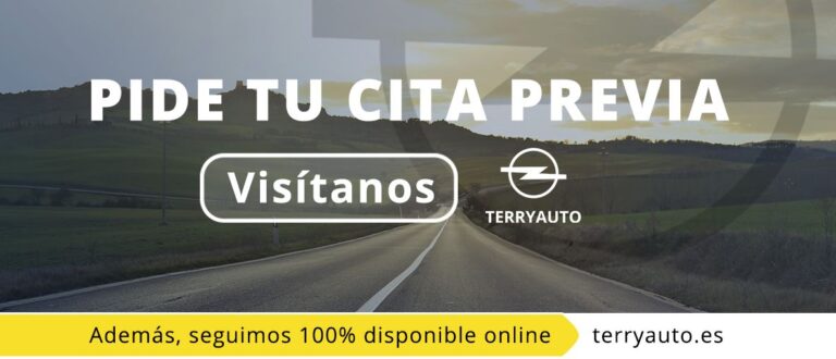 Taller Opel en Sevilla - Terryauto